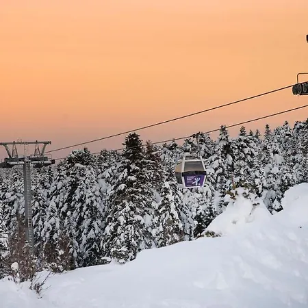 Hotel Agaoglu My Mountain 4*