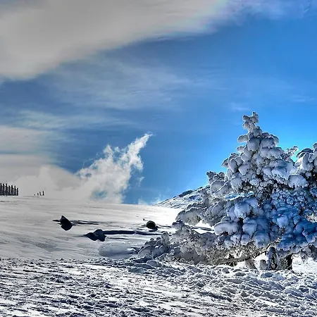 Agaoglu My Mountain Hotel