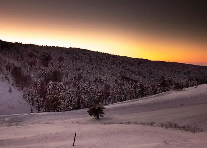 Agaoglu My Mountain 4* أولوداغ