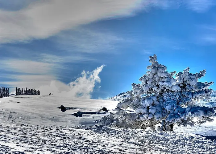 Agaoglu My Mountain فندق